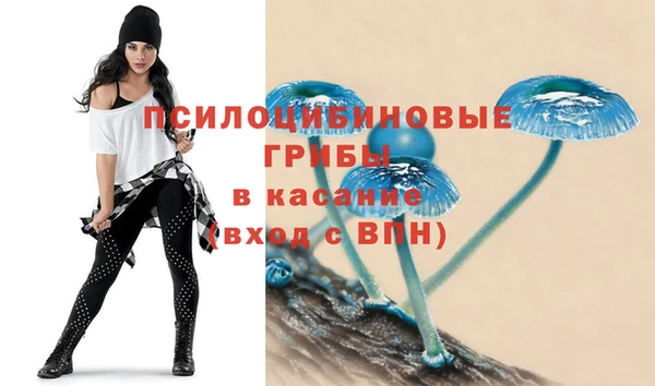 прущие грибы Армянск