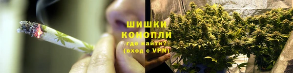 гидра Аркадак