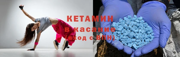 гидра Аркадак