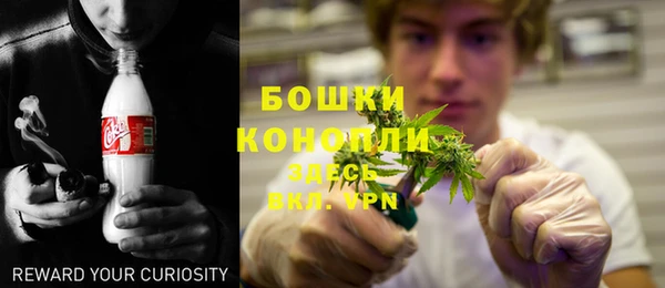 гидра Аркадак