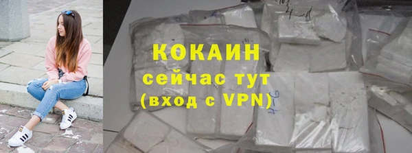 гидра Аркадак