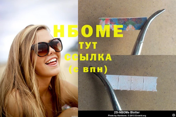 прущие грибы Армянск