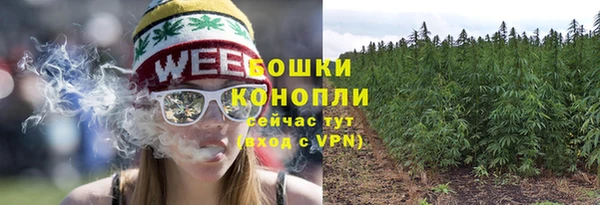 прущие грибы Армянск
