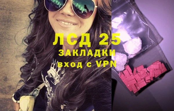 прущие грибы Армянск