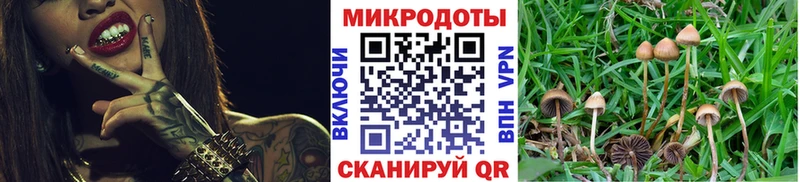 darknet Telegram  Волгоград  Псилоцибиновые грибы ЛСД 